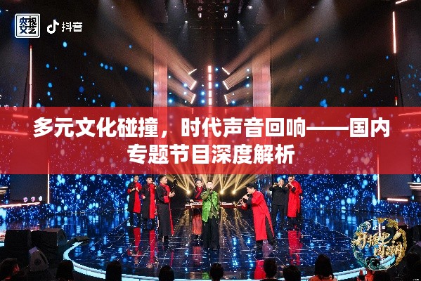 多元文化碰撞,时代声音回响——国内专题节目深度解析