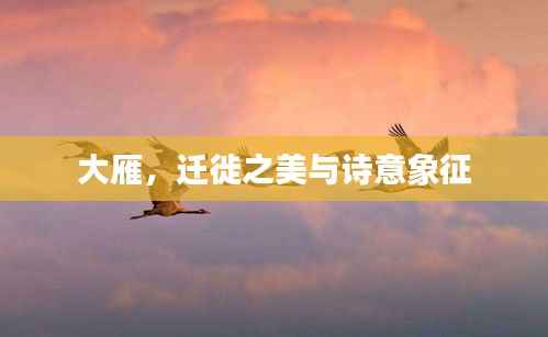 大雁,迁徙之美与诗意象征