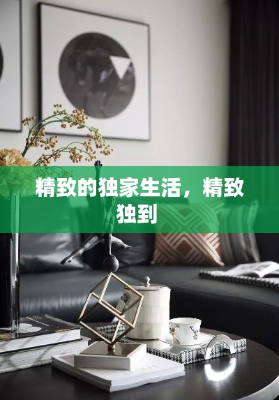 精致的独家生活,精致独到