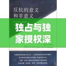 独占与独家授权深度剖析,意义与影响全解析