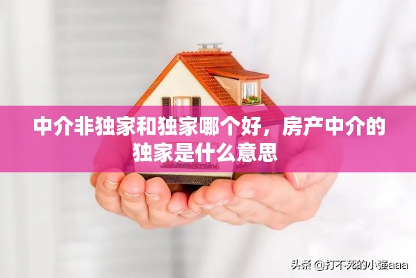 中介非独家和独家哪个好，房产中介的独家是什么意思 