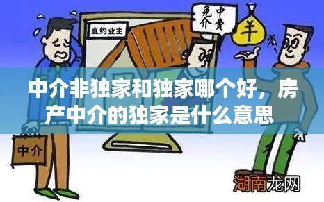 中介非独家和独家哪个好,房产中介的独家是什么意思