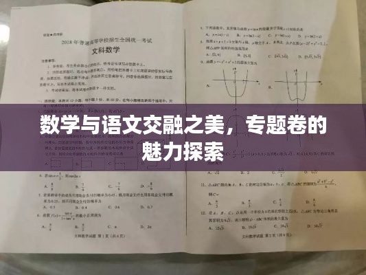 数学与语文交融之美,专题卷的魅力探索