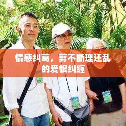 情感纠葛,剪不断理还乱的爱恨纠缠