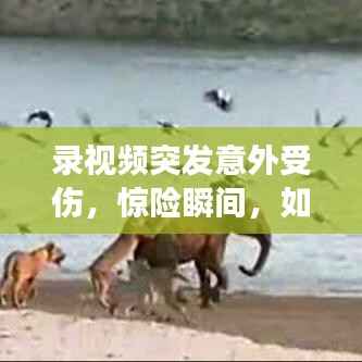 录视频突发意外受伤,惊险瞬间,如何有效应对?