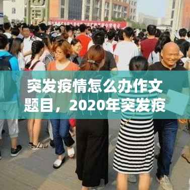 突发疫情怎么办作文题目,2020年突发疫情的文章