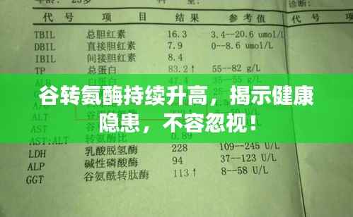 谷转氨酶持续升高,揭示健康隐患,不容忽视!