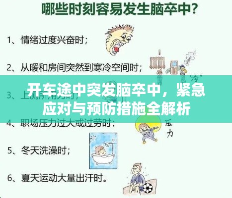 开车途中突发脑卒中，紧急应对与预防措施全解析