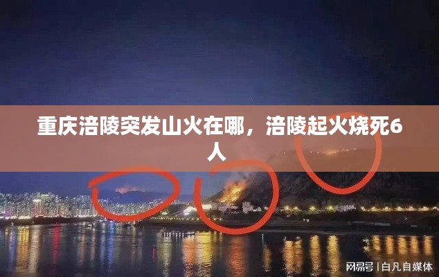 重庆涪陵突发山火在哪，涪陵起火烧死6人 