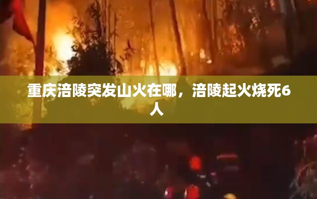 重庆涪陵突发山火在哪,涪陵起火烧死6人