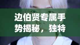 边伯贤专属手势揭秘,独特魅力的独特象征