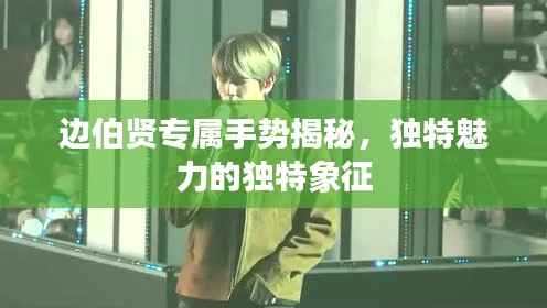 边伯贤专属手势揭秘,独特魅力的独特象征