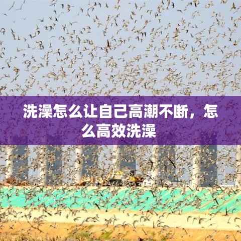 越鸟南栖 第3页