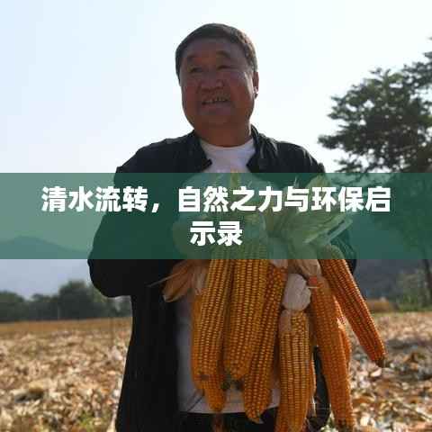 清水流转,自然之力与环保启示录