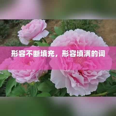 自由自在 第3页