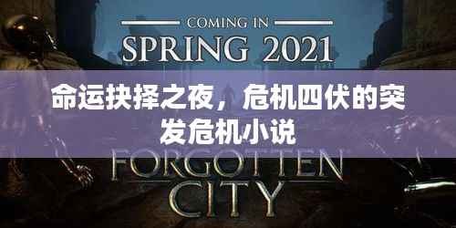 命运抉择之夜，危机四伏的突发危机小说