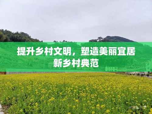 提升乡村文明,塑造美丽宜居新乡村典范