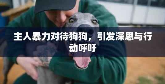 主人暴力对待狗狗，引发深思与行动呼吁