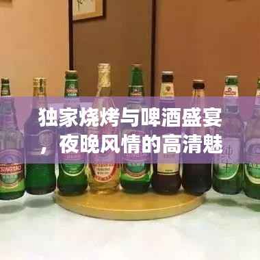 独家烧烤与啤酒盛宴，夜晚风情的高清魅力图片展示