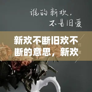 新欢不断旧欢不断的意思，新欢不胜旧爱 