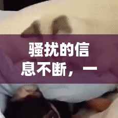 骚扰的信息不断,一直信息骚扰