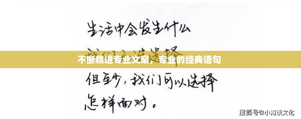 不断精进专业文案,专业的经典语句