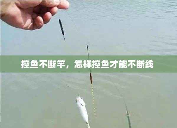 控鱼不断竿,怎样控鱼才能不断线