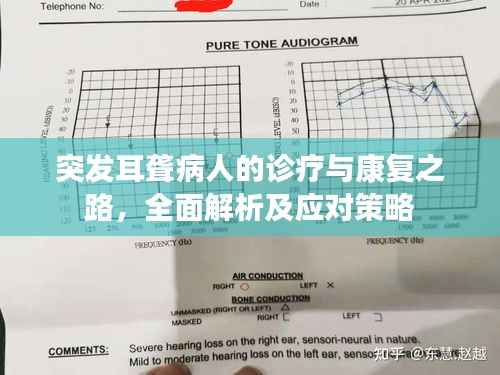 突发耳聋病人的诊疗与康复之路,全面解析及应对策略