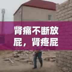 肾痛不断放屁,肾疼屁多