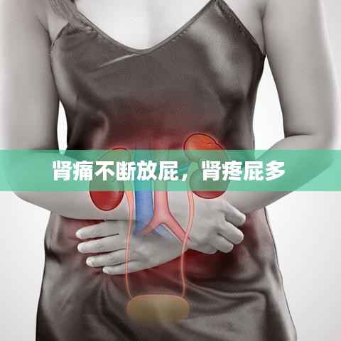 肾痛不断放屁,肾疼屁多