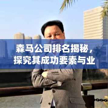 森马公司排名揭秘,探究其成功要素与业界地位