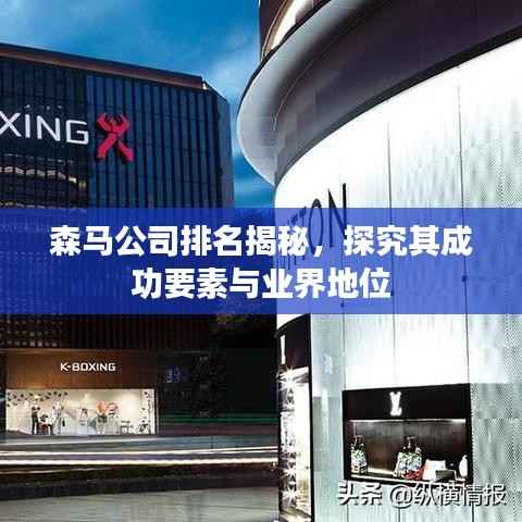 森马公司排名揭秘,探究其成功要素与业界地位