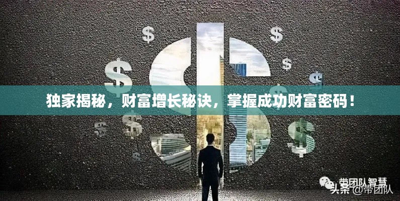 独家揭秘，财富增长秘诀，掌握成功财富密码！
