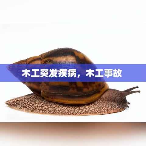 木工突发疾病,木工事故