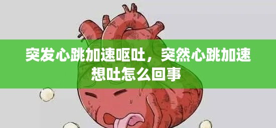 突发心跳加速呕吐,突然心跳加速想吐怎么回事