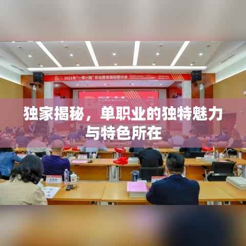 独家揭秘,单职业的独特魅力与特色所在