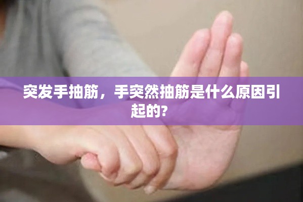 鸢飞戾天 第3页