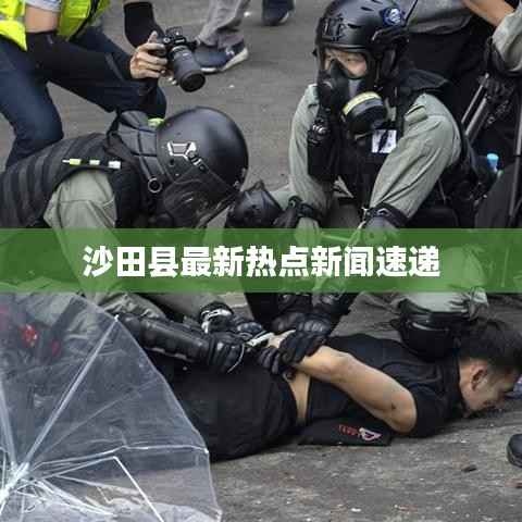沙田县最新热点新闻速递