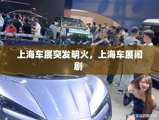 上海车展突发明火，上海车展闹剧 