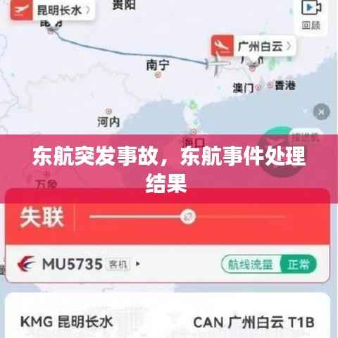东航突发事故,东航事件处理结果