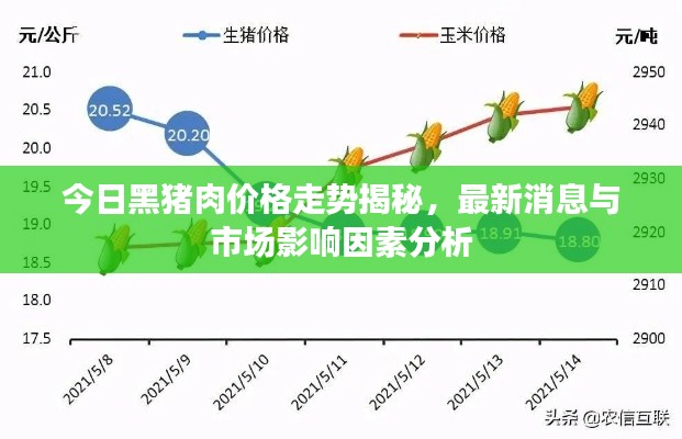 今日黑猪肉价格走势揭秘,最新消息与市场影响因素分析