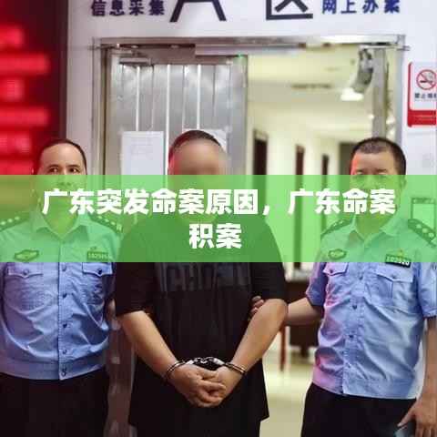 广东突发命案原因,广东命案积案