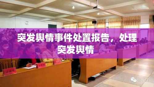 突发舆情事件处置报告,处理突发舆情