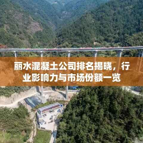丽水混凝土公司排名揭晓,行业影响力与市场份额一览