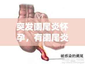 下马看花 第3页