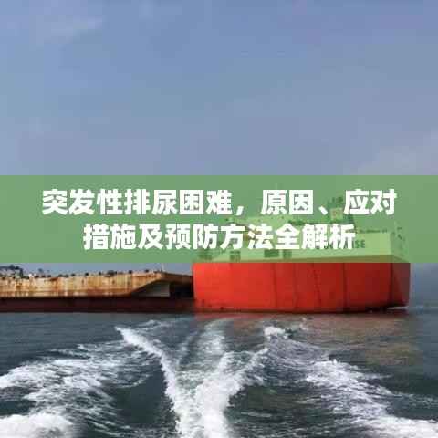 突发性排尿困难,原因、应对措施及预防方法全解析