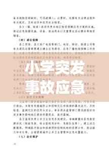 小学突发事故应急预案,小学突发事件处置预案
