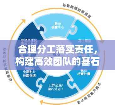 合理分工落实责任,构建高效团队的基石之道