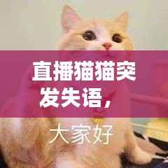 直播猫猫突发失语， 