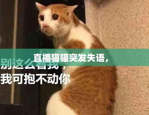 直播猫猫突发失语,